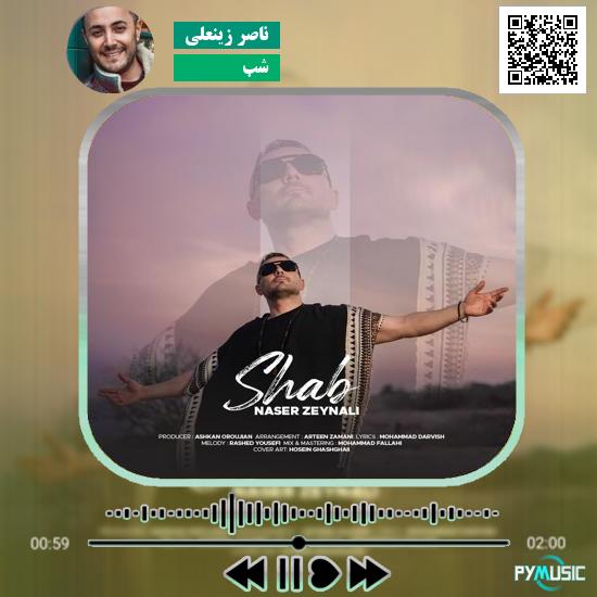 دانلود آهنگ شب ناصر زینعلی